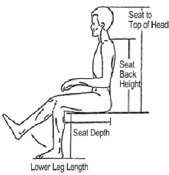 Anatomical Chart 